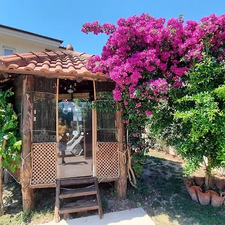 Vaha * Ortaca (Mugla)